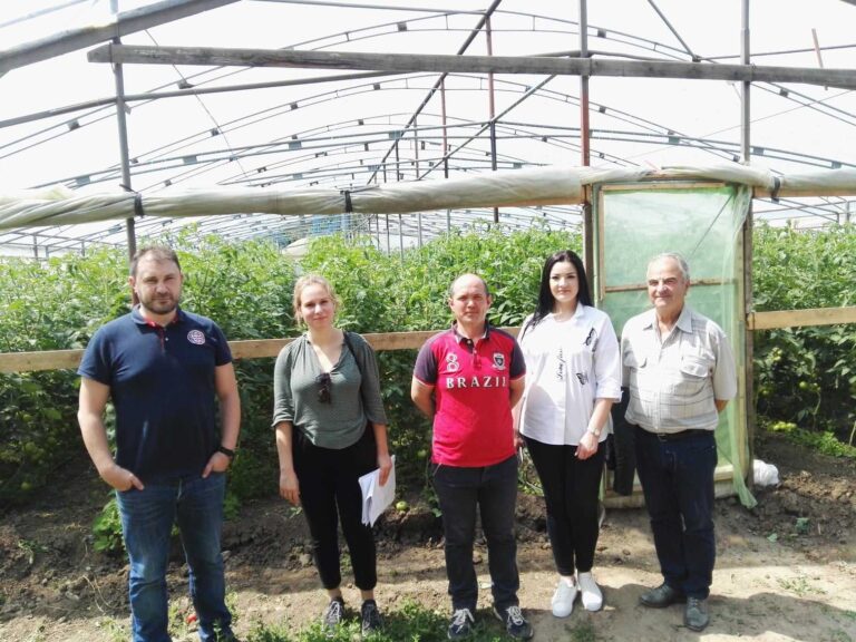 STUDIU DEDICAT LEGUMICULTORILOR DIN ZONA RURALĂ. FNF și Optim Project în vizită de documentare la fermierii locali