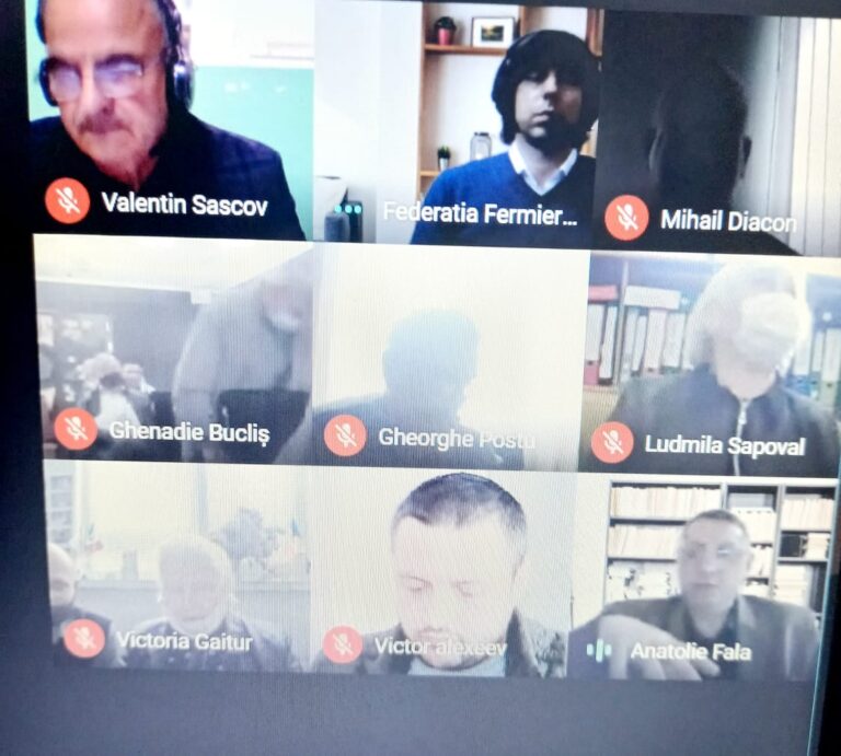 Nou curs de instruire online, FNFM