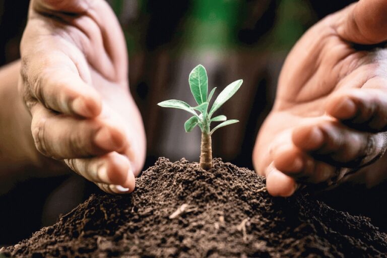 “PROTECȚIA PLANTELOR – BAZA OBȚINERII RECOLTELOR ÎNALTE ȘI CALITATIVE”