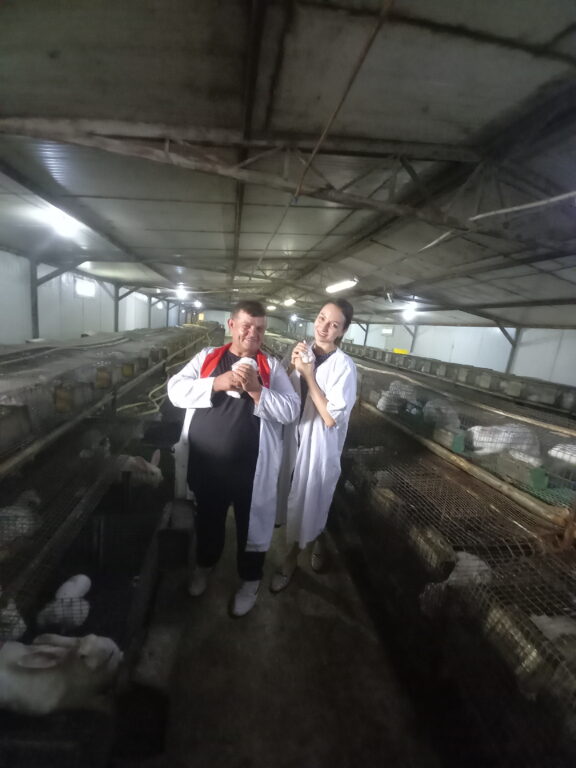 CARNE DE IEPURE BIO DE LA BRĂVICENI