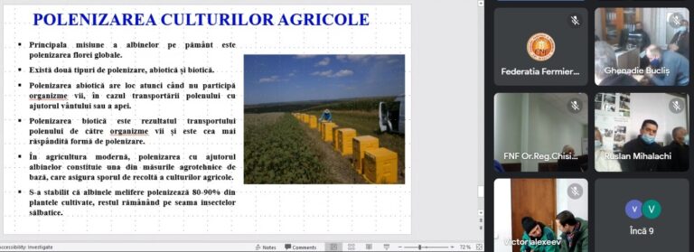 ORGANIZAREA STUPINEI ȘI LUCRĂRILE DE BAZĂ ÎN APICULTURĂ//CURS ONLINE
