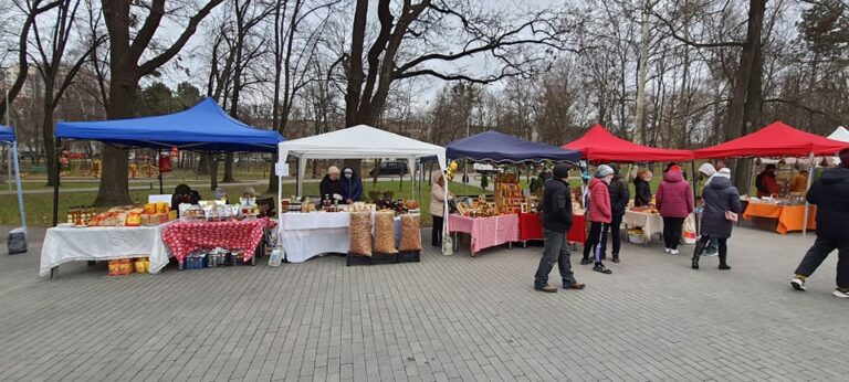 VEZI CUM A FOST LA CRĂCIUN FEST – TÂRGUL DE POVESTE! //FOTO
