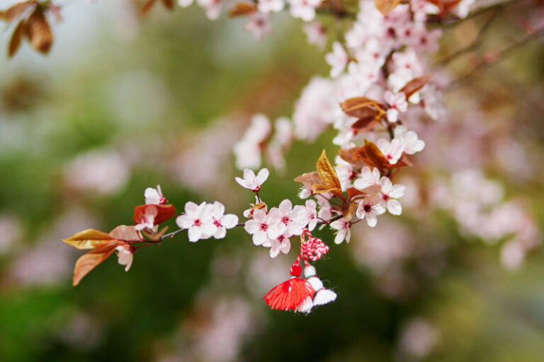 E MĂRȚIȘOR, DIN NOU! O PRIMĂVARĂ FRUMOASĂ SĂ AVEȚI!